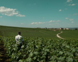 CHAMPAGNE DANIEL MAILLARD