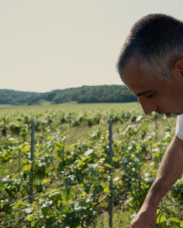 CHAMPAGNE DANIEL MAILLARD