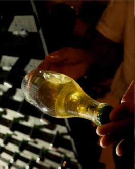 CHAMPAGNE DANIEL MAILLARD