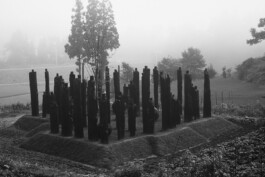 CHAMPAGNE DANIEL MAILLARD