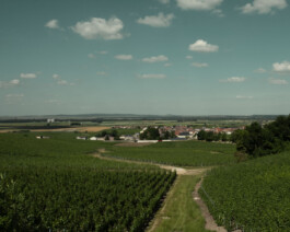 CHAMPAGNE DANIEL MAILLARD